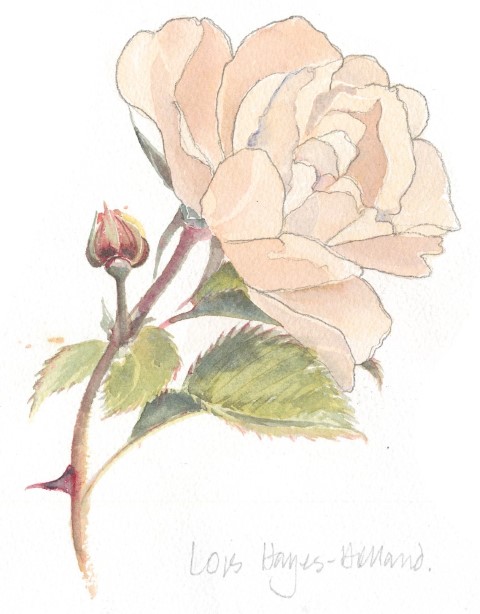 Flower Painting 8